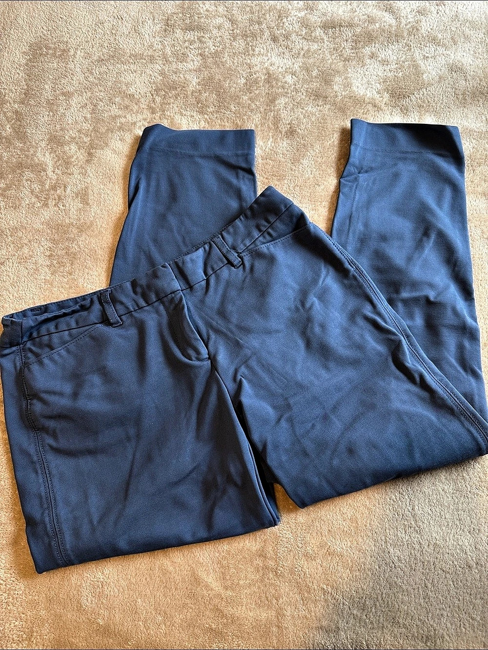 White House Black Market The Slim Ankle Pant Cropped Pants Blue 6R